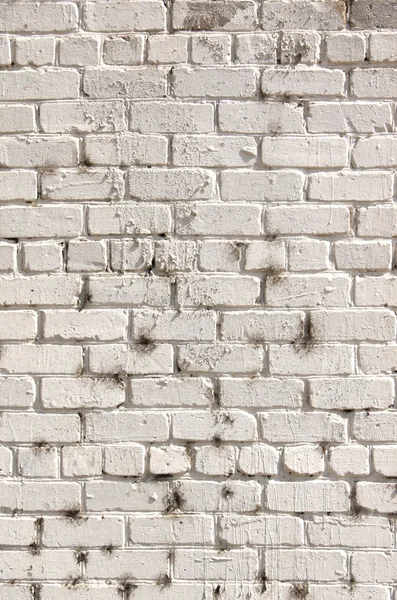 Texture of old brick wall — Stock Photo, Image