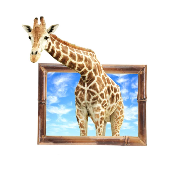 Жираф в бамбуковой рамке с эффектом 3D — стоковое фото