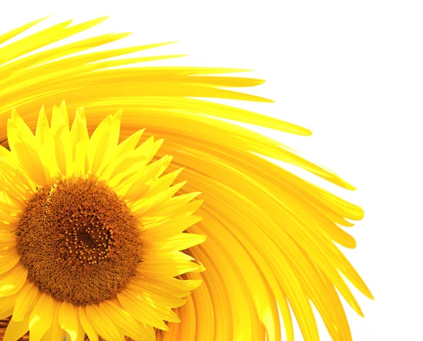 Dekorativer Hintergrund mit Sonnenblume — Stockfoto