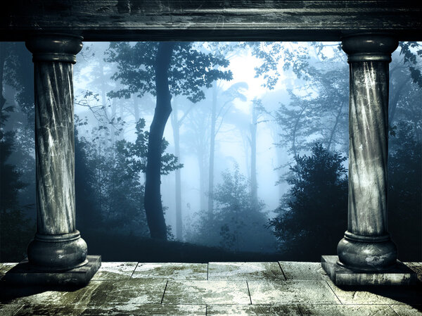 Frame with two medieval columns and mysterious landscape of foggy forest