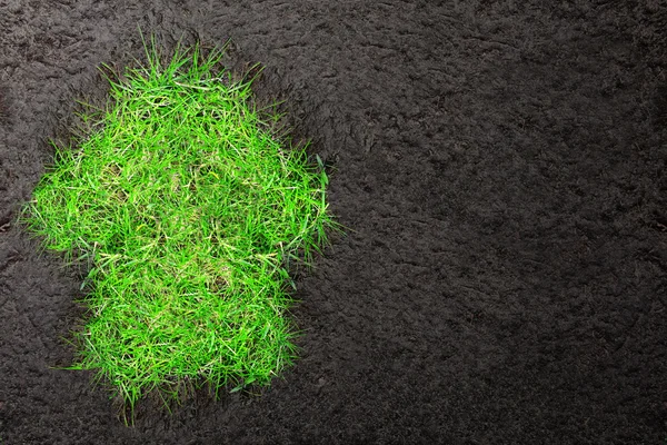 Eco background with soil and house of green grass — Stock Photo, Image