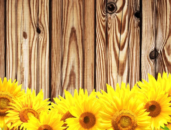 Wooden texture and border with yellow sunflowers — Stock Photo, Image
