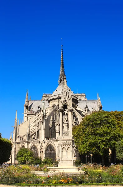 Notre Dame de Paris Katedrali, Fransa — Stok fotoğraf