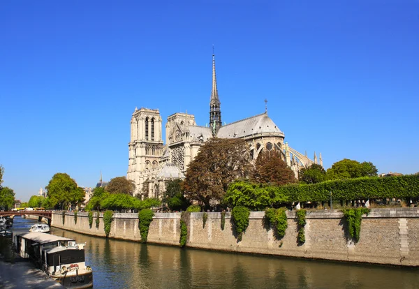 Notre Dame de Paris katedrális, Franciaország — Stock Fotó