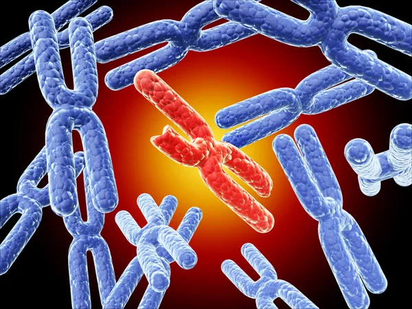 Cromosoma X rojo roto y cromosomas X azul completo — Foto de Stock