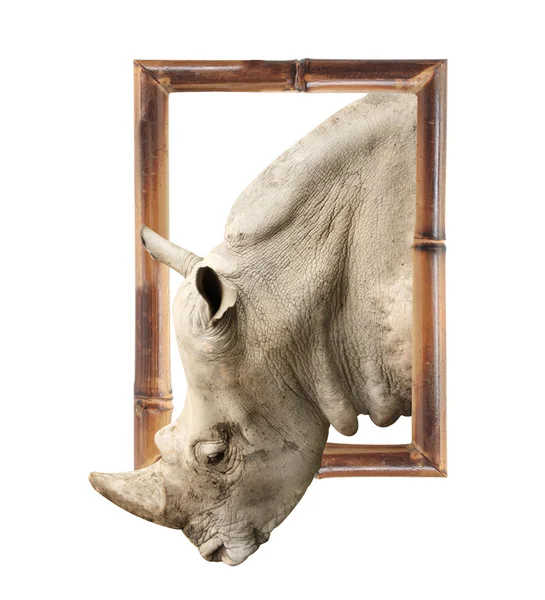 Носорог в бамбуковой рамке с эффектом 3D — стоковое фото