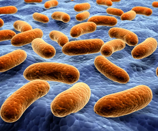 Bacterias patógenas en la superficie —  Fotos de Stock