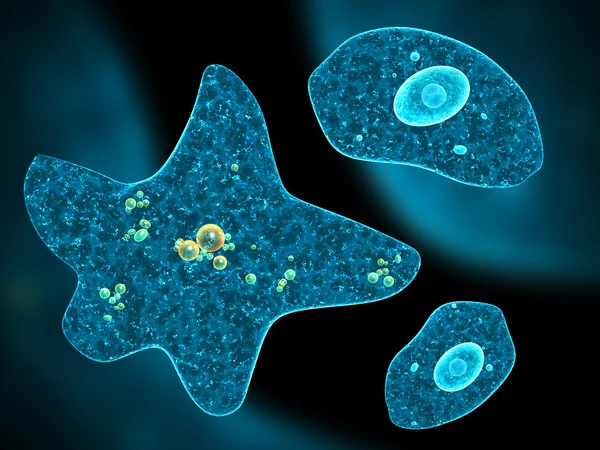 Different amoebas on abstract background — Stock Photo, Image