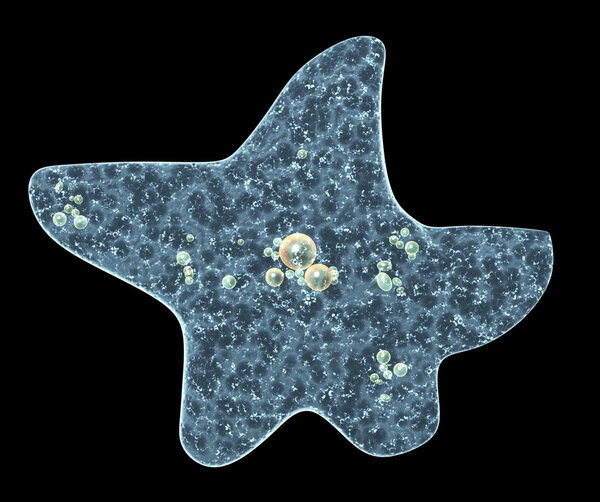 Amoeba on black background