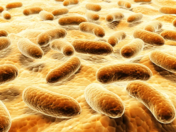 Bacterias patógenas en la superficie —  Fotos de Stock