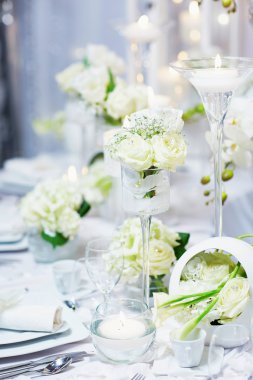 Düğün için ayarla Beautidul tablo