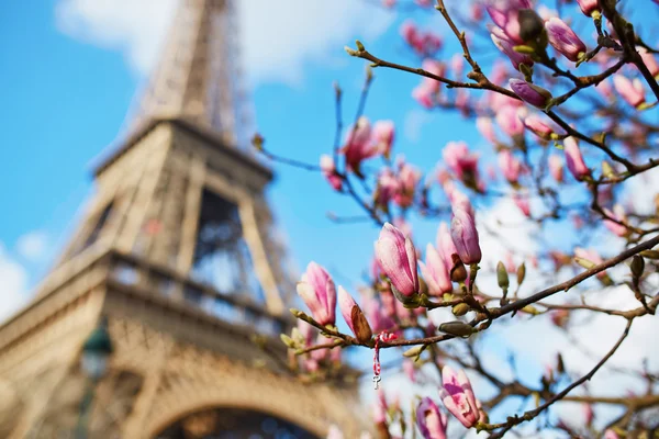 Frühling in Paris — Stockfoto