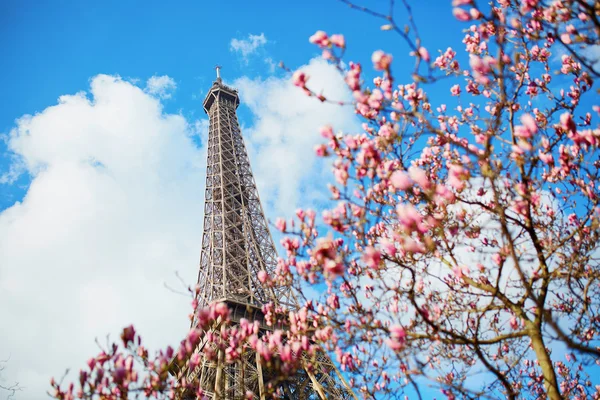 Primavera en París —  Fotos de Stock