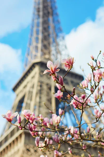 Primavera em Paris — Fotografia de Stock