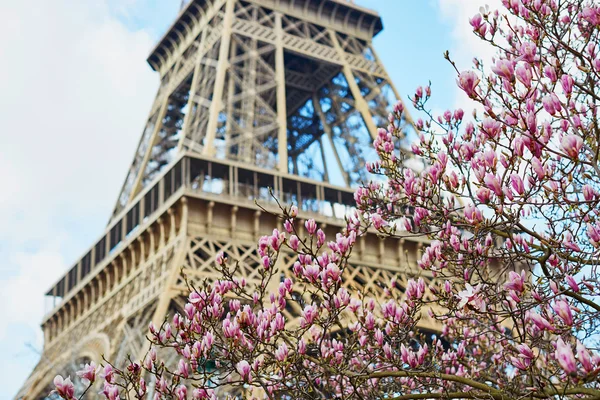 Frühling in Paris — Stockfoto