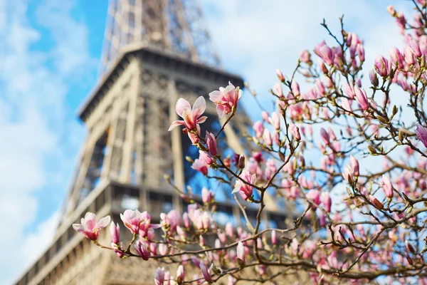 Primavera en París — Foto de Stock