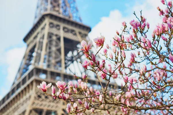 Frühling in Paris — Stockfoto