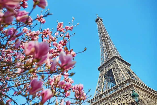 Wiosna w Paryżu — Zdjęcie stockowe