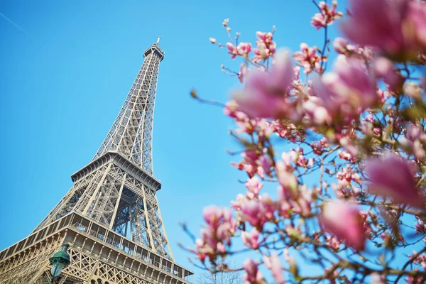 Spring in Paris — Stock Photo, Image