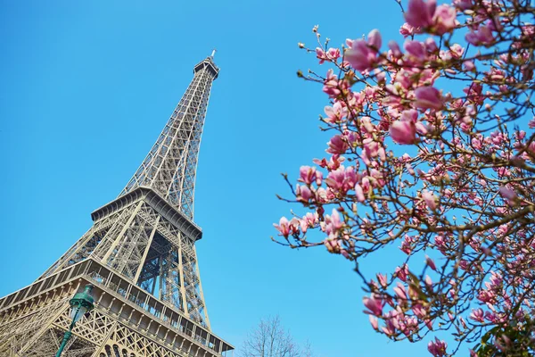 Jaro v Paříži — Stock fotografie