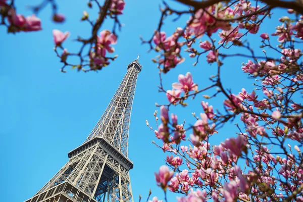Frühling in Paris — Stockfoto