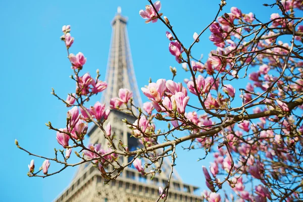 巴黎的春天 — 图库照片
