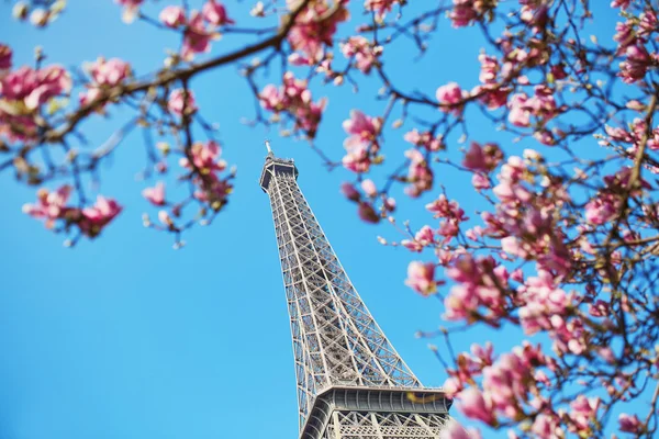 Spring di Paris — Stok Foto