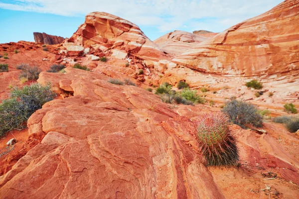 Valley of the Fire national park in Nevada, USA Stock Image