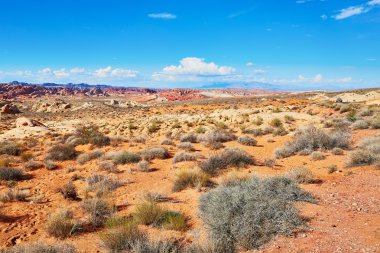 Yangın Milli Parkı, Nevada, ABD Vadisi