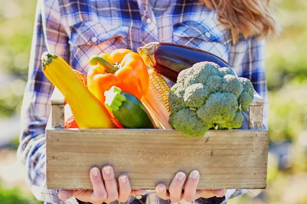 Kvinna med färska ekologiska grönsaker från gård — Stockfoto