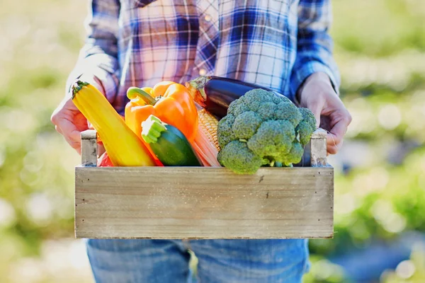 Woman with fresh organic vegetables from farm — Stock Photo, Image