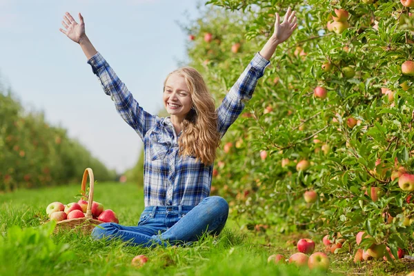 Donna raccolta mele biologiche mature — Foto Stock