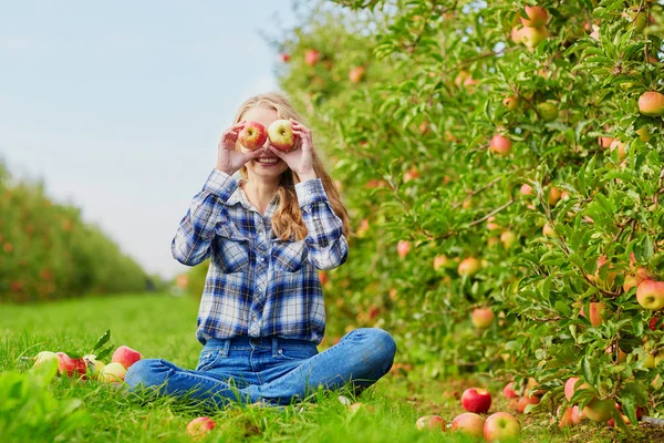 Mujer recogiendo manzanas orgánicas maduras —  Fotos de Stock