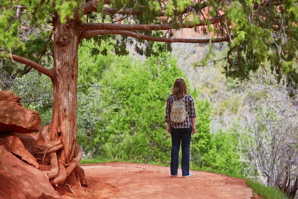 Turista no parque nacional de Zion, EUA — Fotografia de Stock