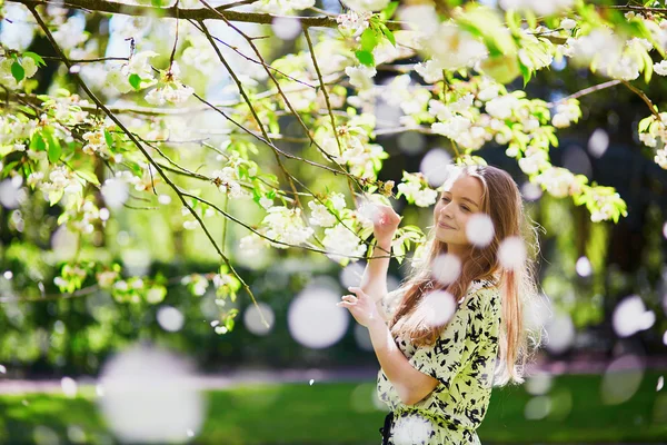 Tyttö kirsikankukka puutarhassa kevätpäivänä — kuvapankkivalokuva