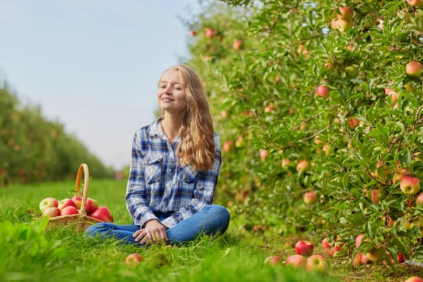 Молода жінка збирає стиглі органічні яблука в саду або на фермі в осінній день — стокове фото