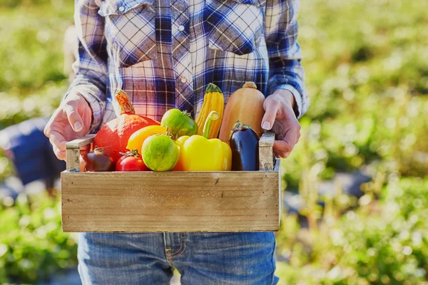 Mains de femme tenant une caisse en bois avec des légumes biologiques frais — Photo