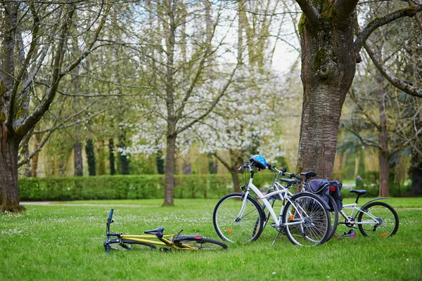 Ποδήλατα και κράνη ασφαλείας — Φωτογραφία Αρχείου