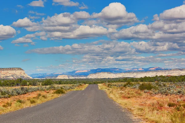 Road and mountains in Arizona, USA — Stock Photo, Image