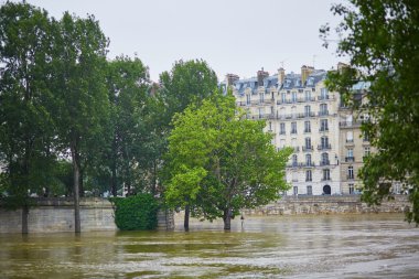 Paris'te sel