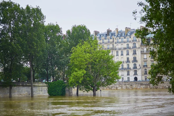 Powódź w Paryżu — Zdjęcie stockowe