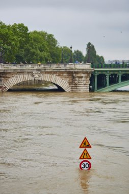 Paris'te sel