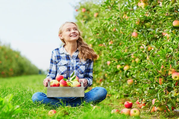 Wanita memetik apel di peti kayu di peternakan — Stok Foto
