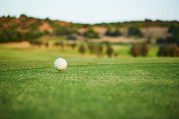 Pelota de golf en el green —  Fotos de Stock