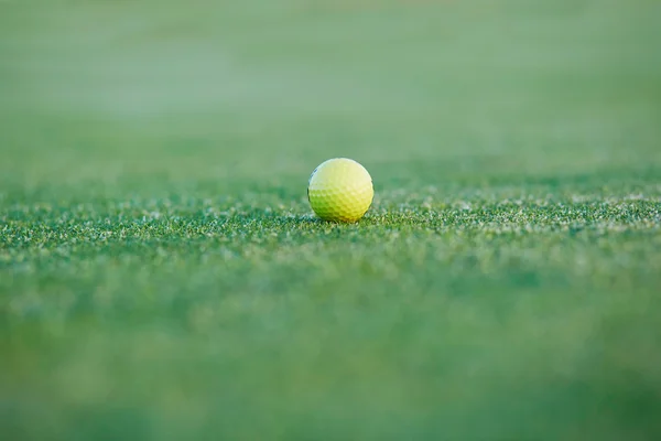 Bola de golfe no verde — Fotografia de Stock