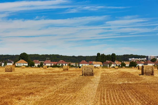 Golden hay bales in the countryside — Stock Photo, Image