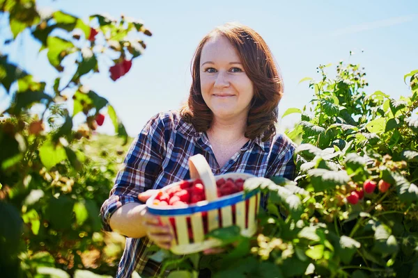 Lächelnde Frau beim Sammeln reifer Himbeeren — Stockfoto