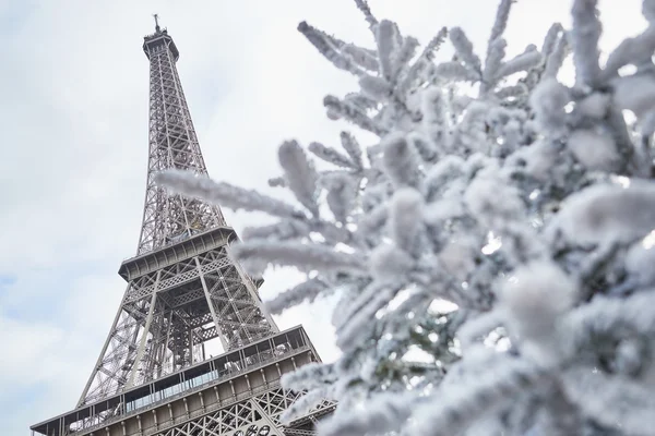 Árvore de Natal coberta de neve perto da Torre Eiffel — Fotografia de Stock