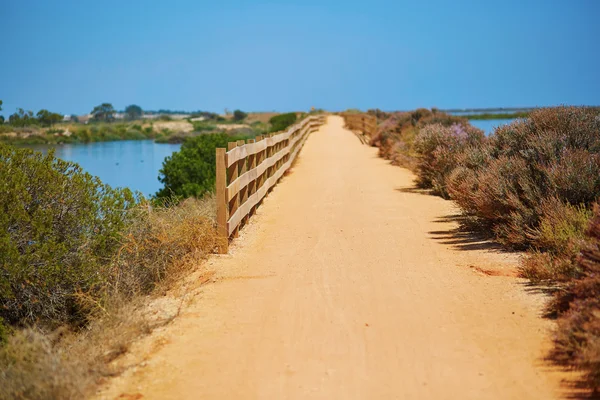 Walkway along the coastline in Algarve region — Stock Photo, Image