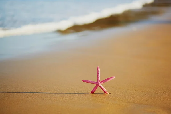 Starfish na praia de areia exótica — Fotografia de Stock